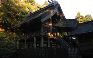 No.1はじめまして！